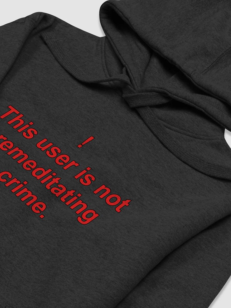 Premeditated Crime Unisex Hoodie product image (19)