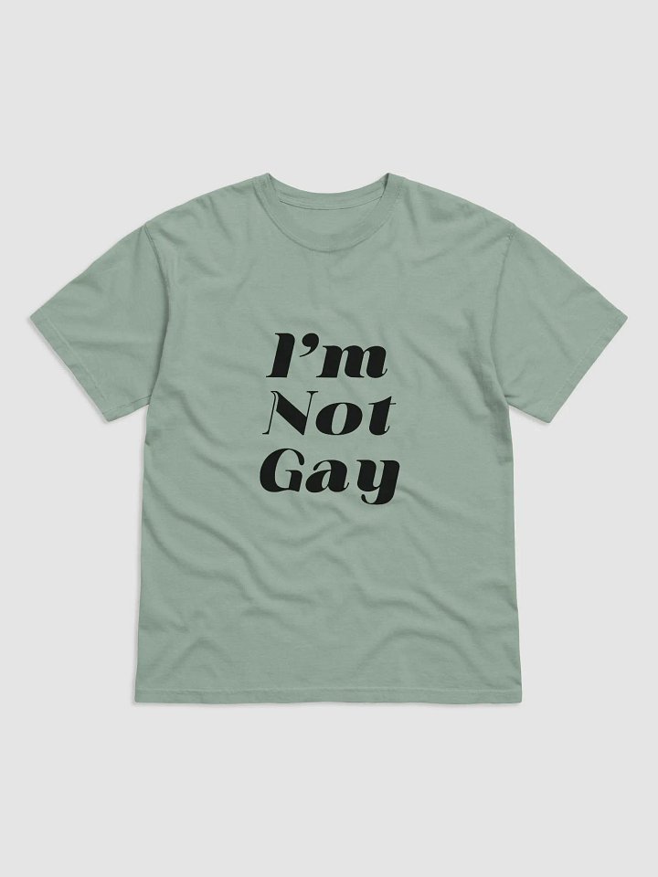 I'm Not Gay Tee product image (1)