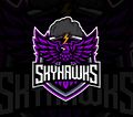 Skyhawks