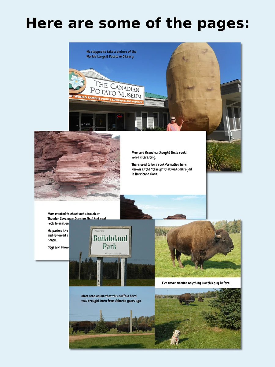 Mozzie Visits Prince Edward Island - eBook product image (3)