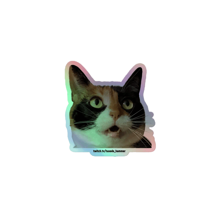 Rogue Holographic Sticker Set product image (1)