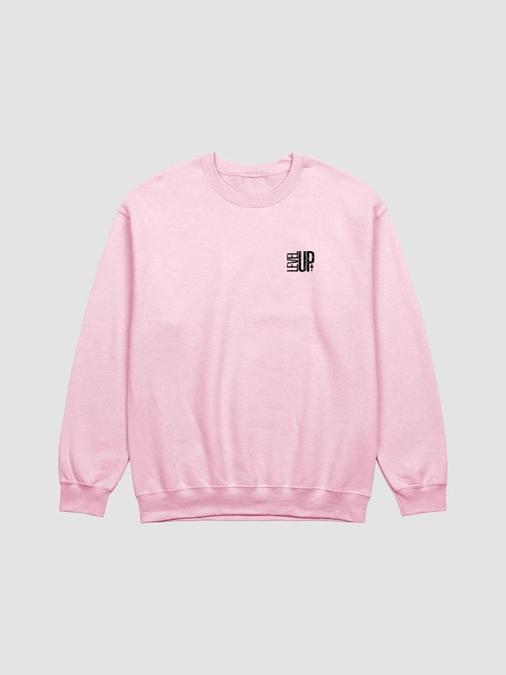 Level Up Sweatshirt product image (1)