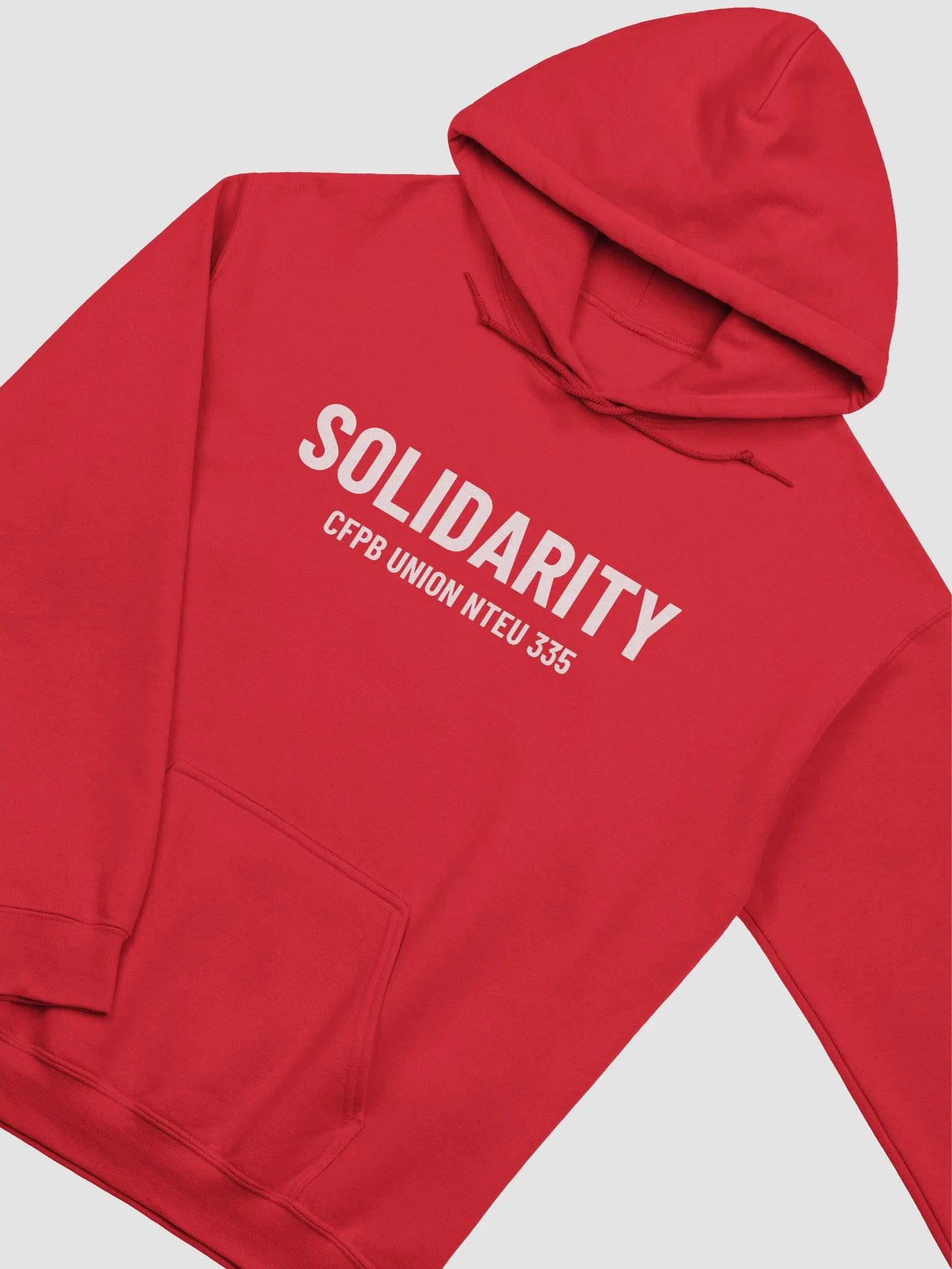 Solidarity CFPB Union Hoodie product image (2)