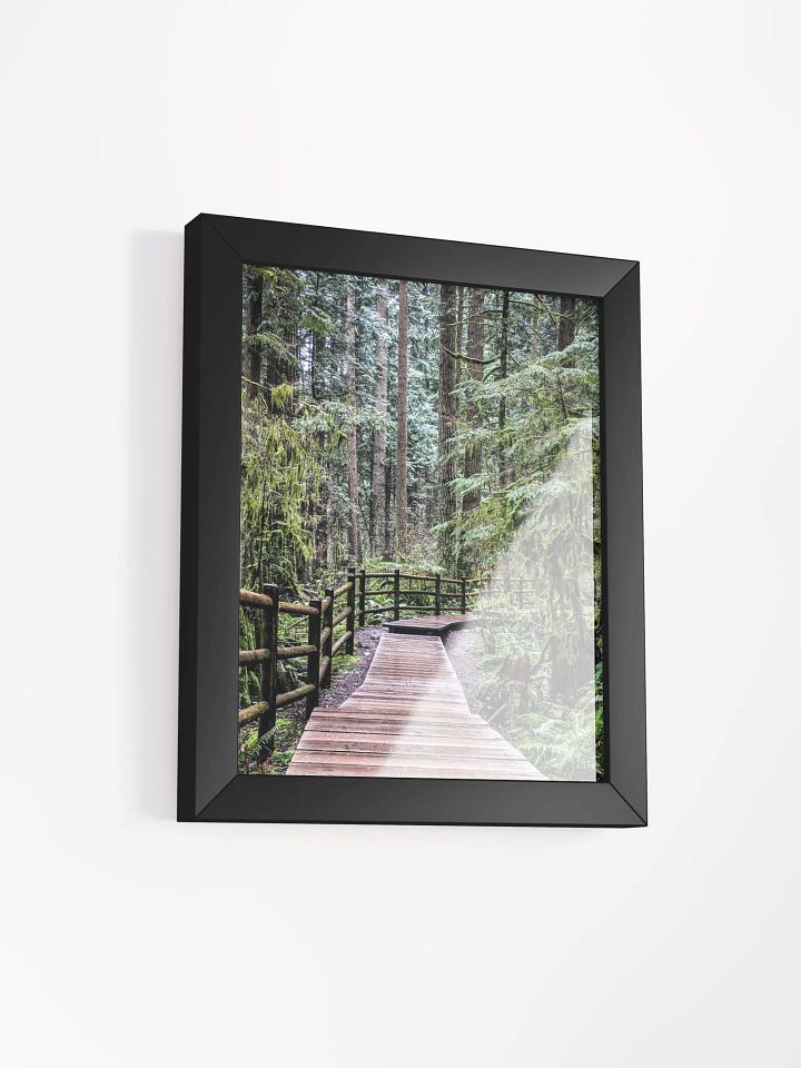 Lynn Canyon Park product image (14)