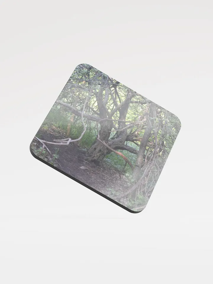 Branch Tree Cork Coaster product image (1)
