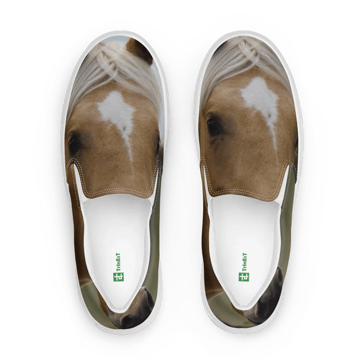 Horse on a Shoe product image (1)