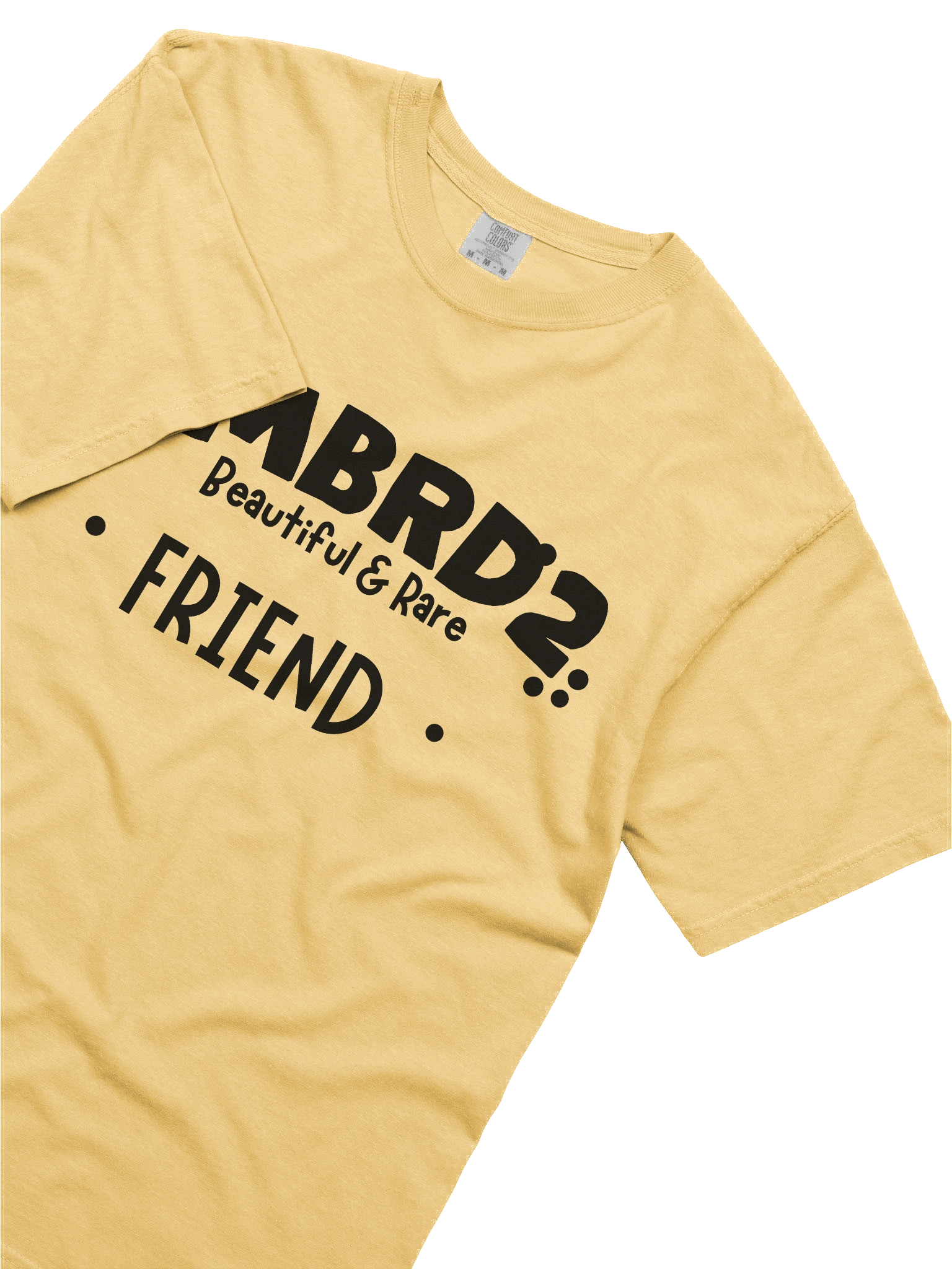 LMBRD2 Comfort T-Shirt -FRIEND product image (47)