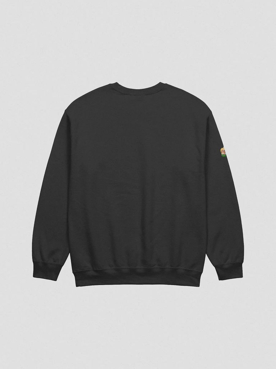 Naughty, Nice, Drunk Sweatshirt product image (3)