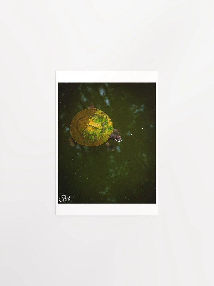 The Turtle Pond - Print product image (1)