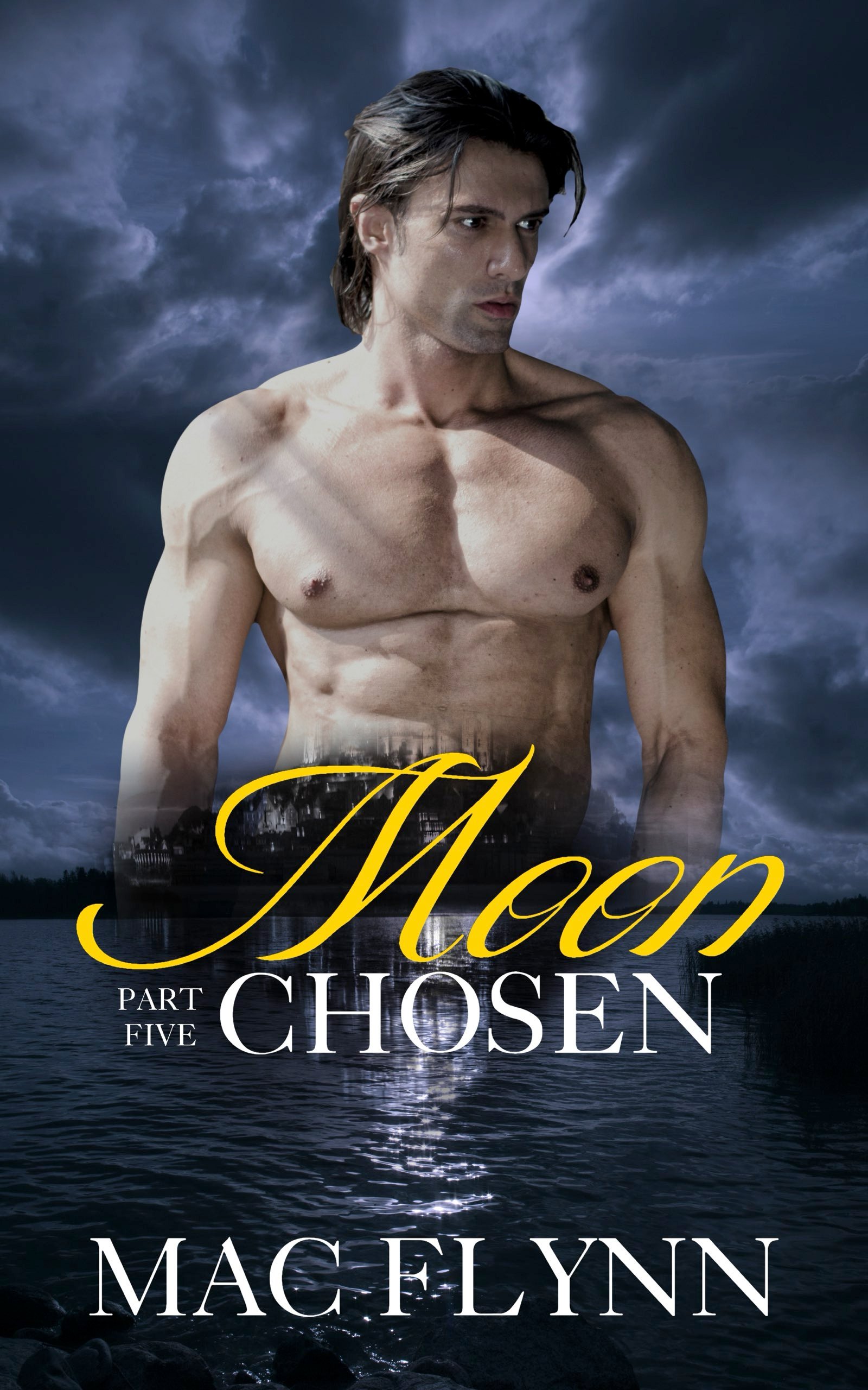 Moon Chosen #5 (BBW Werewolf Shifter Romance) product image (1)