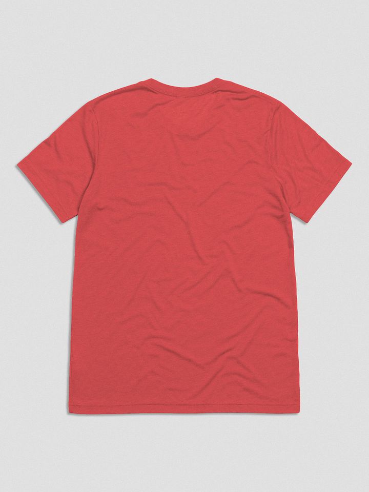 Pedantic T-Shirt (White Text, Tri-Blend) product image (13)