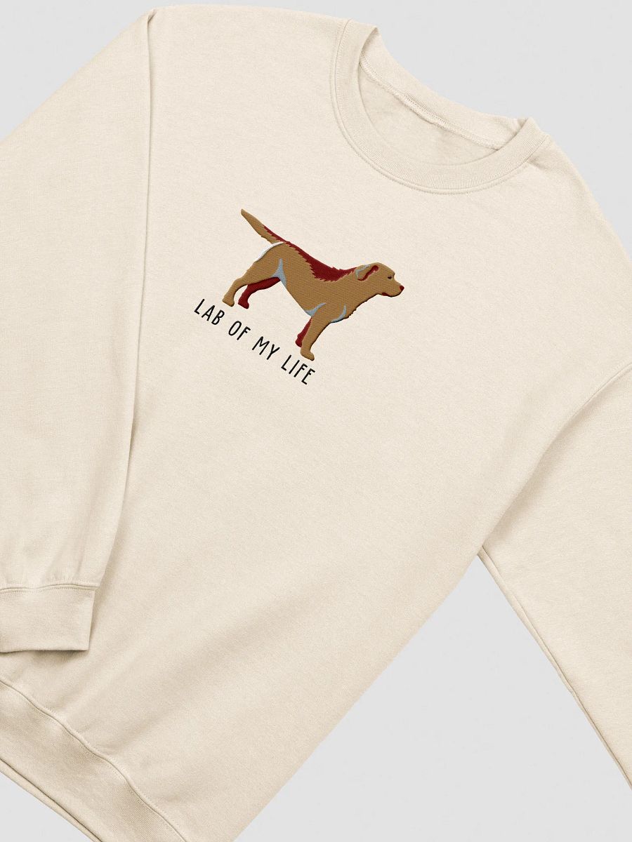 Lab of My Life Sweatshirt (Embroidered) of a Labrador Retriever product image (15)