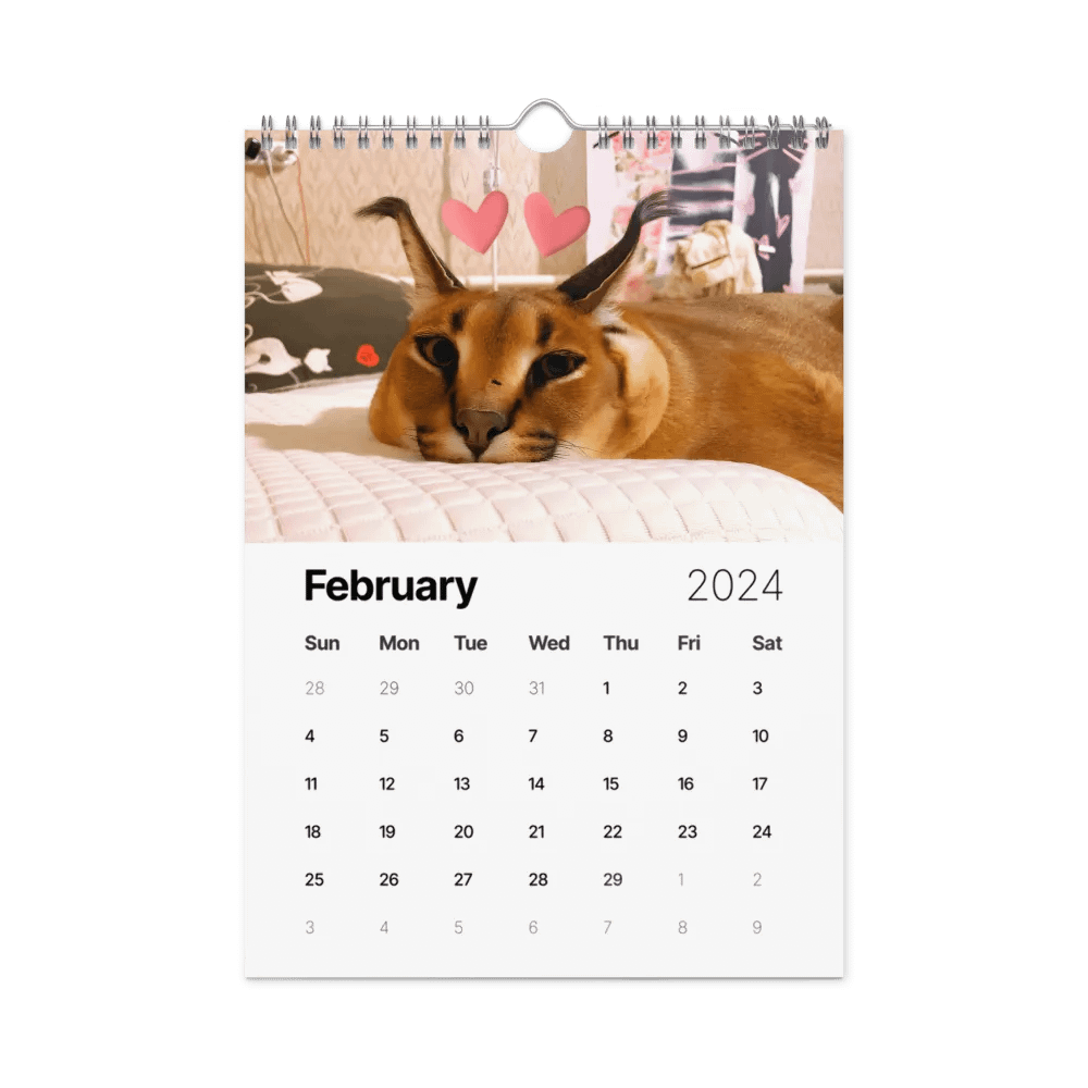 FLOPPA CALENDAR FOR 2024 product image (2)
