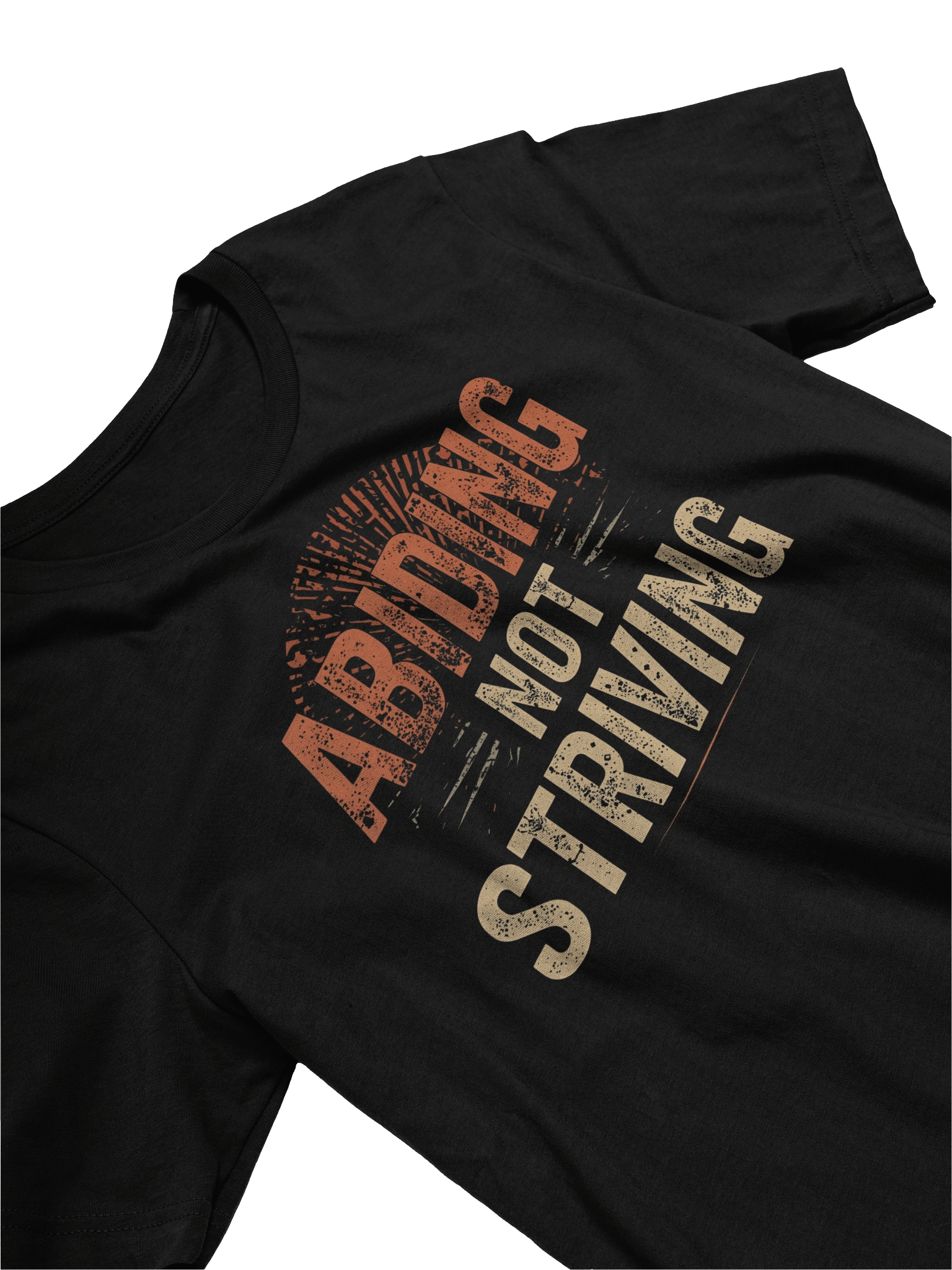 Abiding Not Striving T-shirt product image (3)