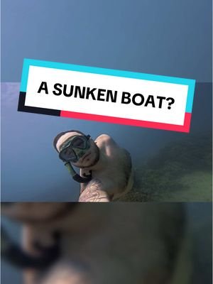 I found a sunken boat??? Some dive content from your favorite merman 💜 #freedive #dive #diving #sunkenship 