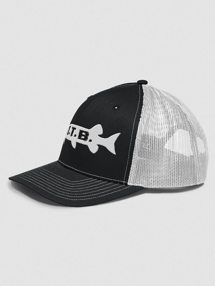 Logo Hat (Dark Colors) product image (12)