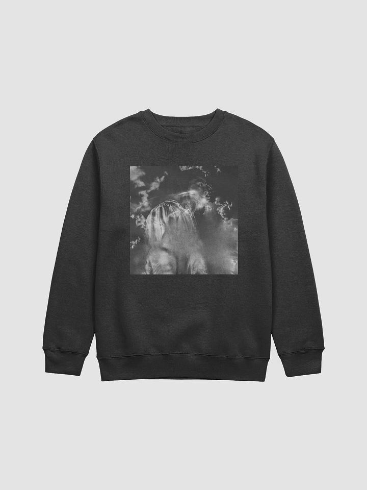 You Choose Long Sleeve product image (1)