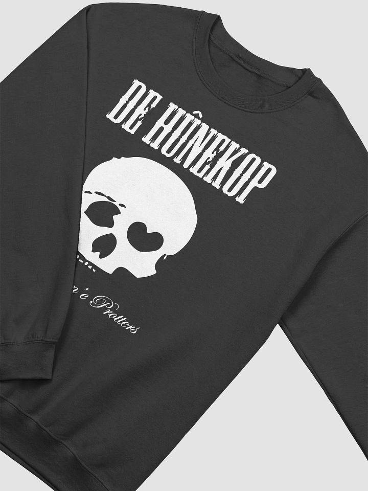 Raast Oan'e Protters - Sweater product image (2)