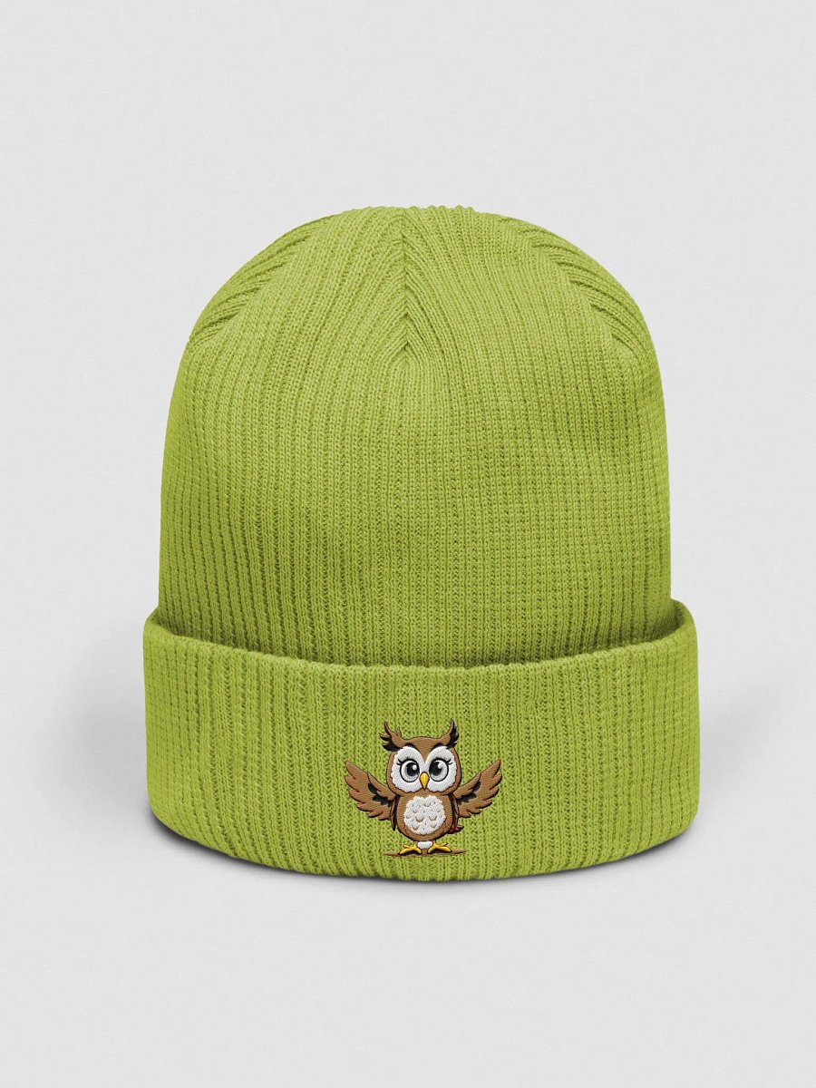 OWL ORGANIC EMBROIDERED RIBBED BEANIE product image (1)