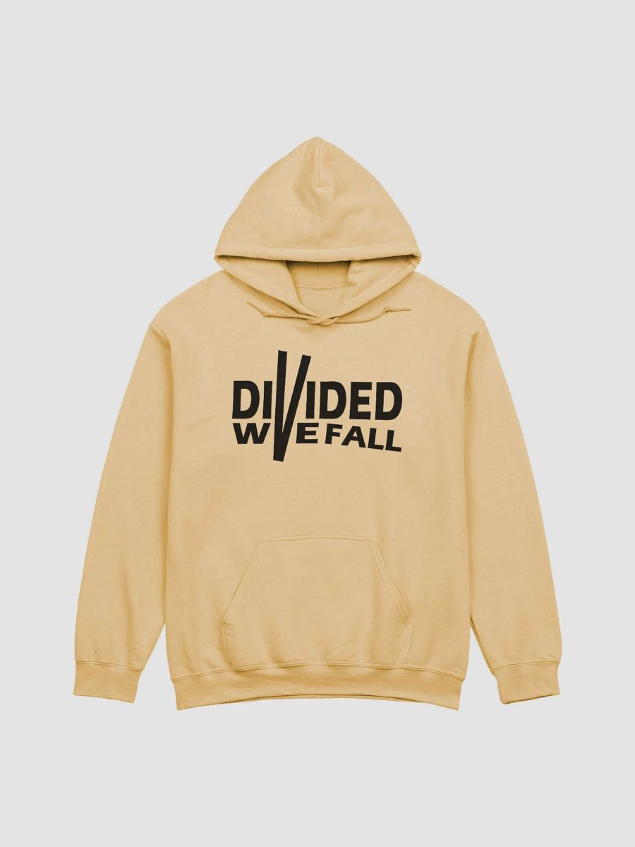 Divided We Fall - Black - Gildan Classic Hoodie product image (2)