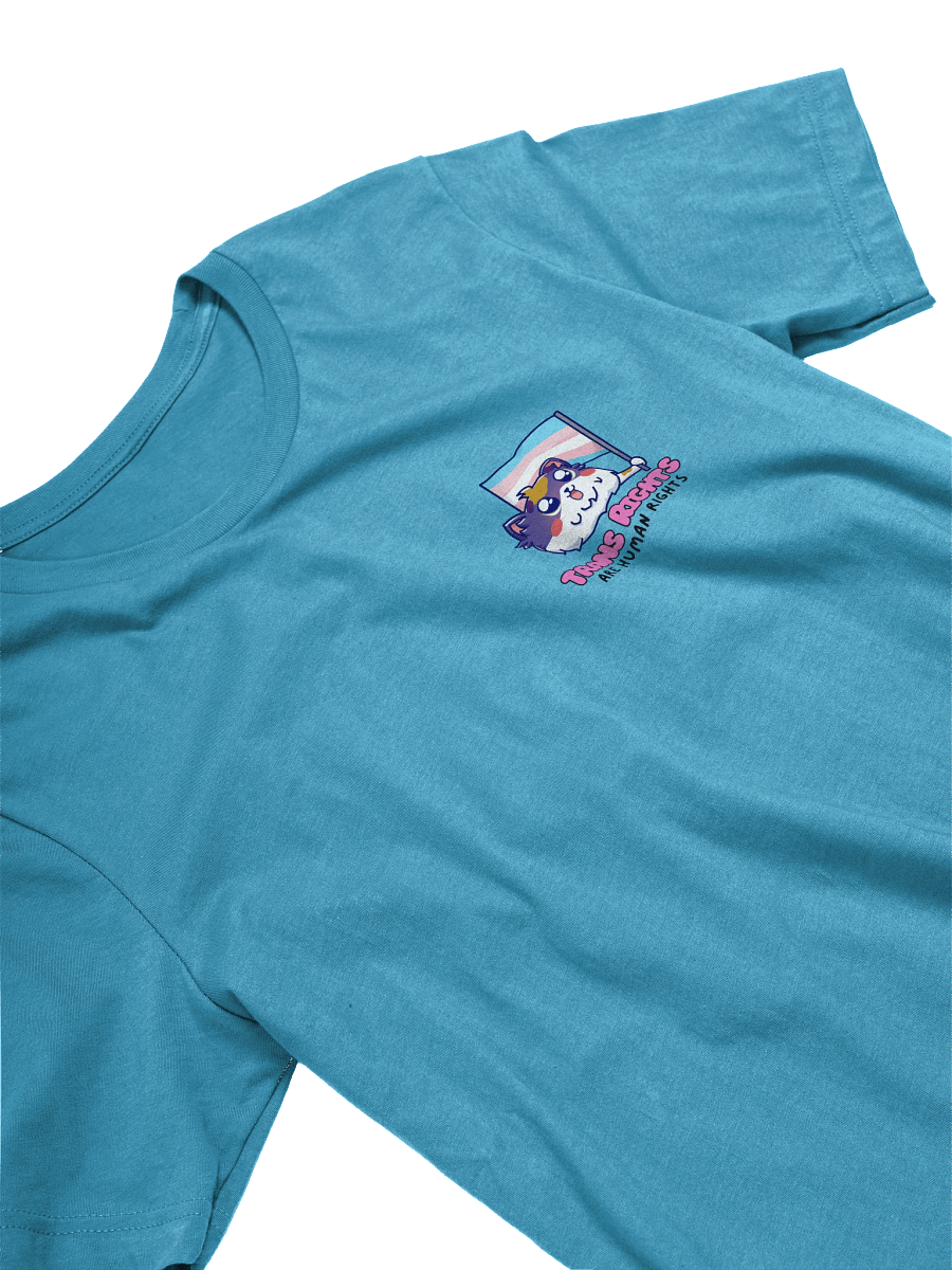 Trans Rights Soft Tee product image (25)