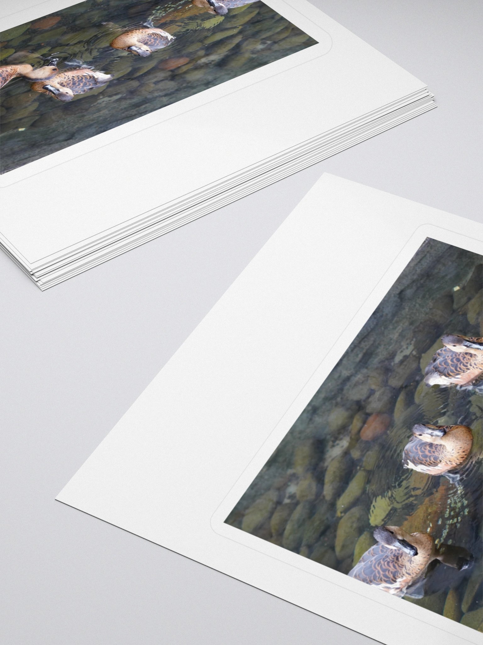 Tranquil Duck Pond Stickers product image (4)