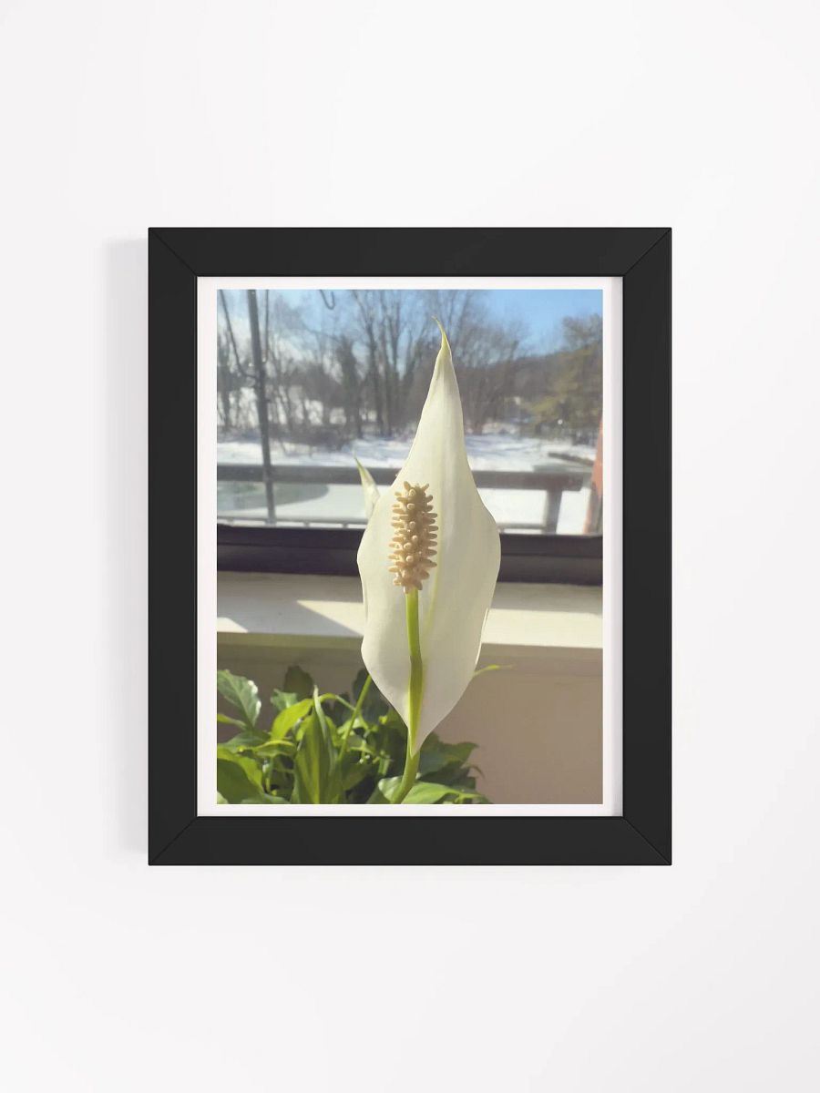 Hope print product image (35)