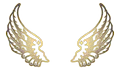 AureaCorvae