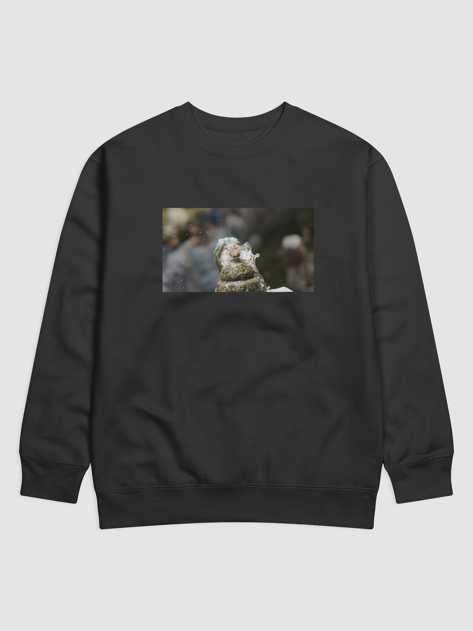 Splish Splash Bird Bath Cotton Sweatshirt product image (1)