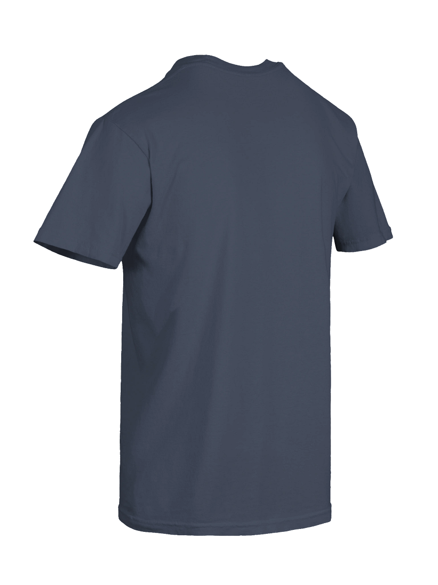 APAMSA Varsity T-shirt product image (10)
