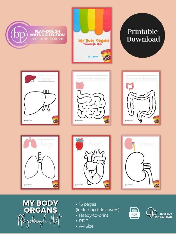 My Body Organs Playdough Mat product image (2)