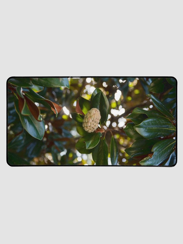 Desk Mat L2 - Southern Louisiana Series product image (1)