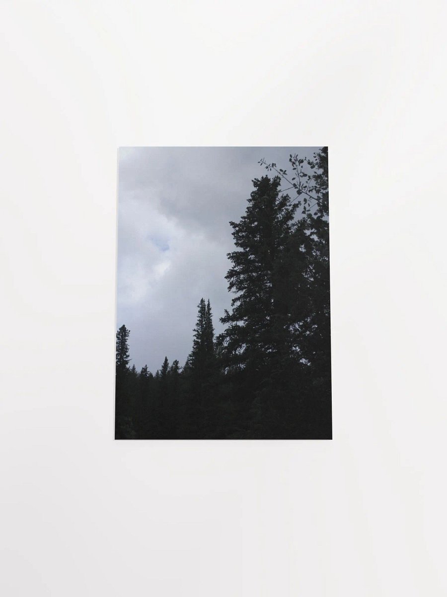 This Is Not In Black & White - Poster product image (15)