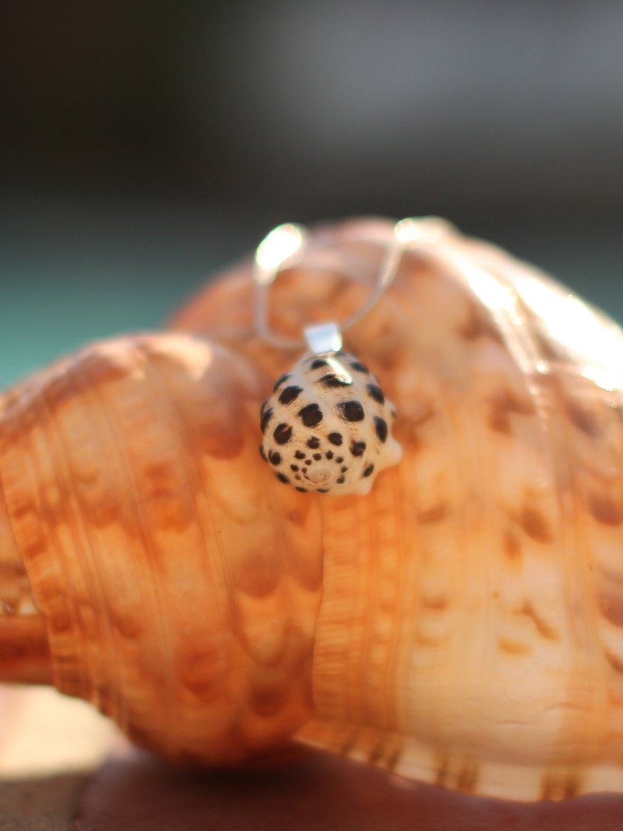 Mermaid Wish Necklace ~ 7 product image (3)