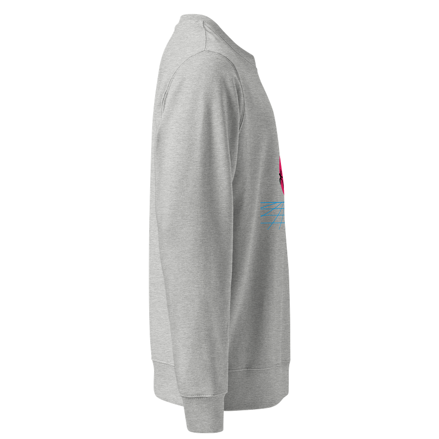 Retro Sunset Palm Organic Sweatshirt product image (4)