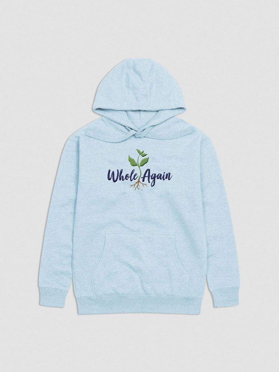 Whole Hoodie - Blue Logo product image (13)