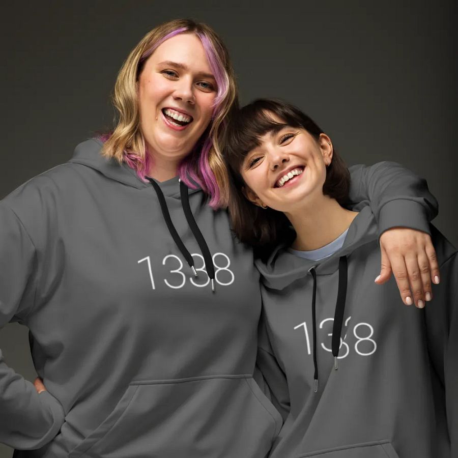 1338, beyond leet hoodie (dark grayscale mode) product image (9)