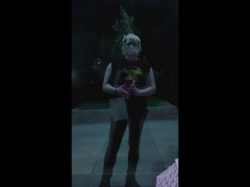 👽🦇👽🦇