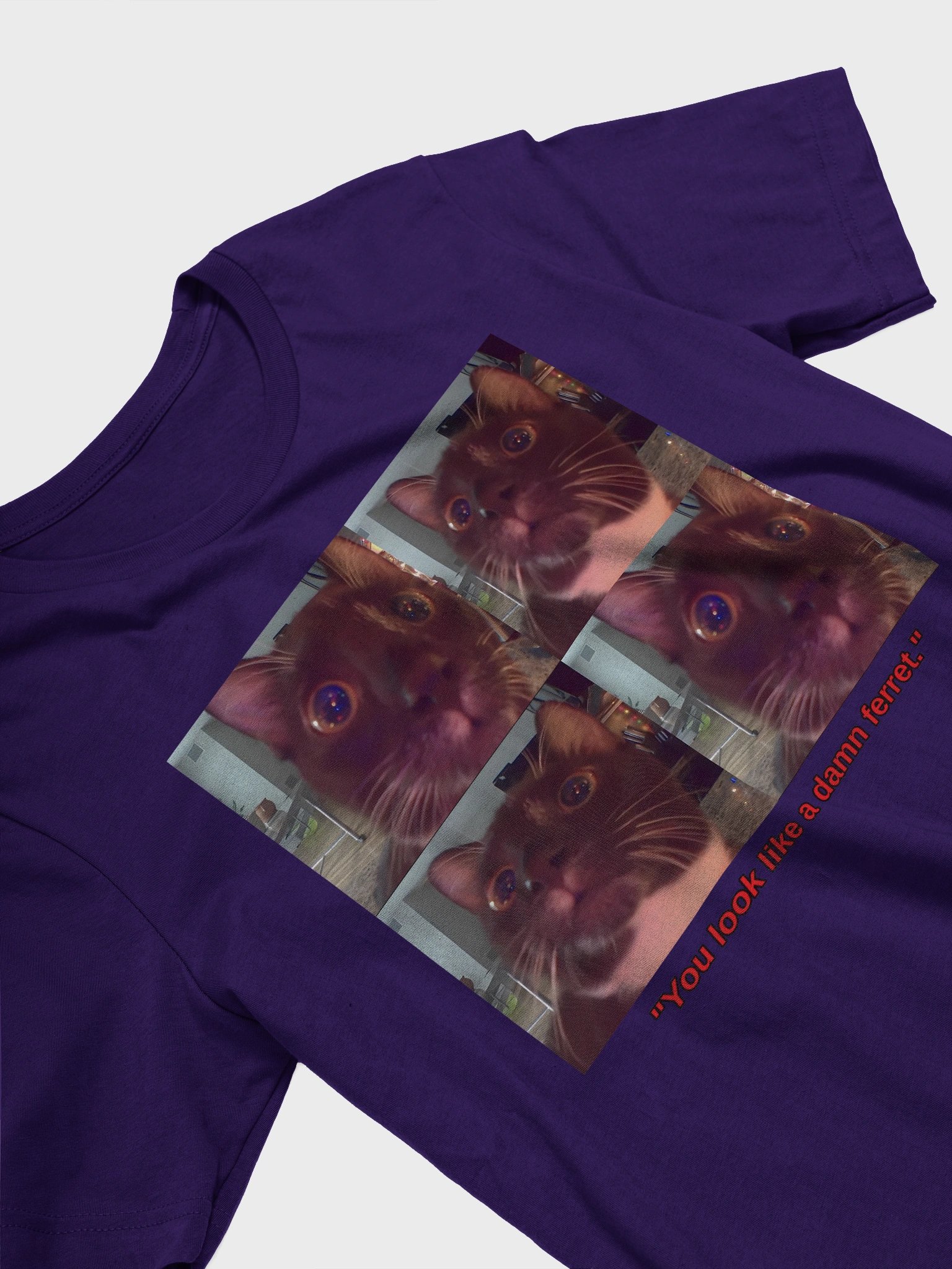 You Look Like a Damn Ferret Ladies Style Shirt product image (24)