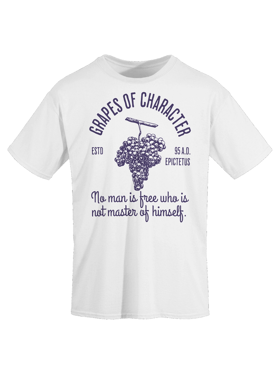 Stoic Grapes TSHIRT product image (6)