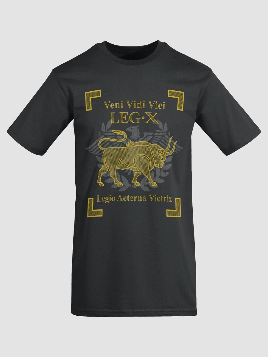 Legion X - veni vidi vici - Heavy Tee product image (5)