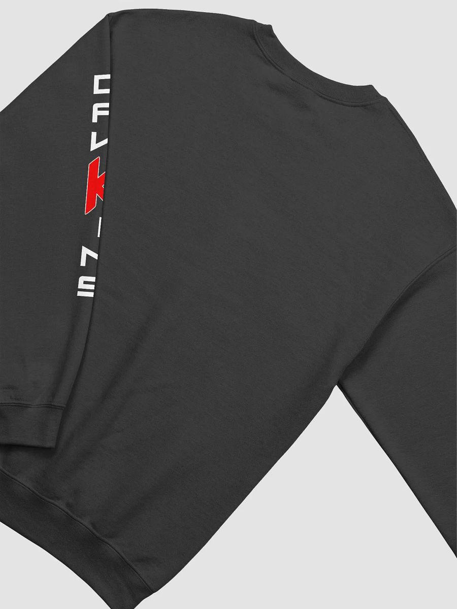Dawkins Circle Sweatshirt (Black) product image (4)