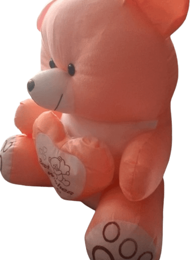 Teddy Bear SOFT TOY product image (2)