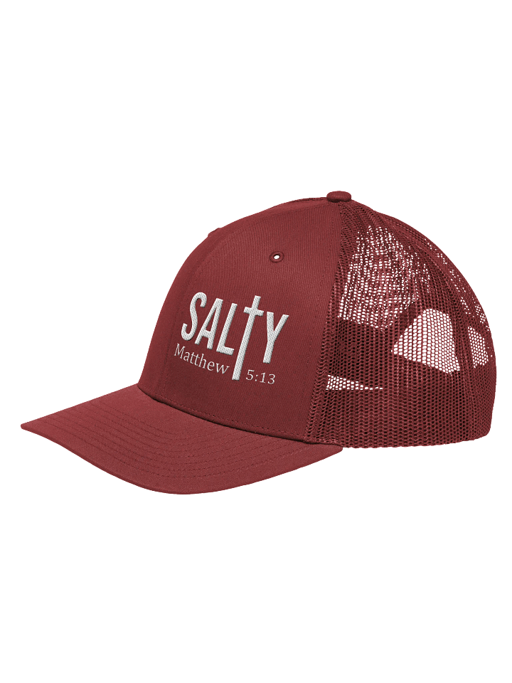 Salty Snapback product image (1)