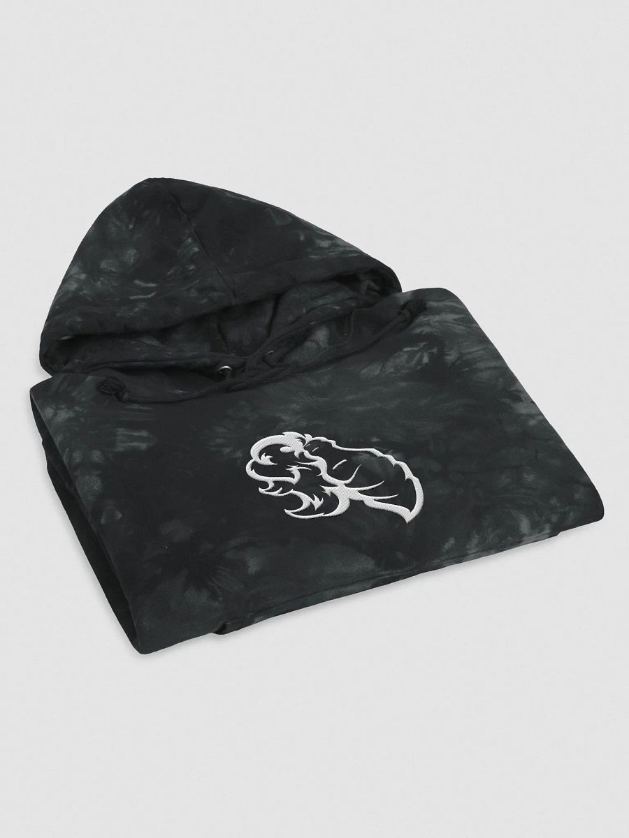 Foundations Molotov Embroidered Champion Tie-Dye Hoodie product image (3)