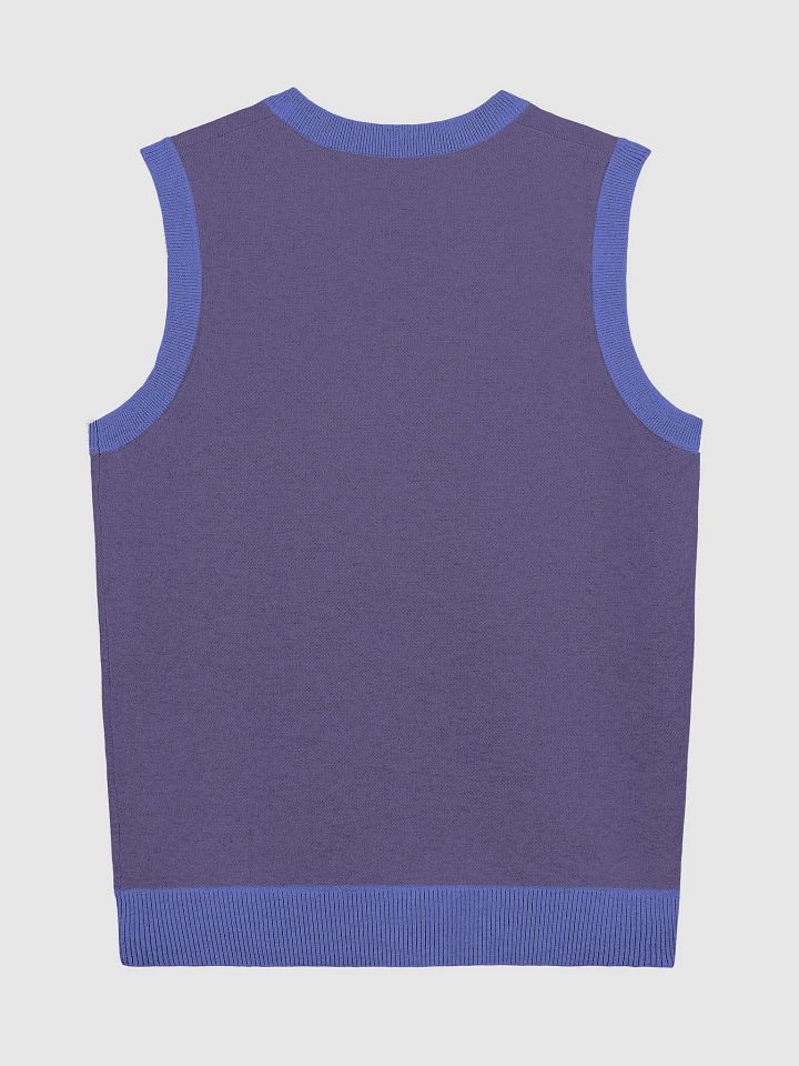 Bubbly and a B*tch (lg. design, violet and royal) knitwear vest product image (6)