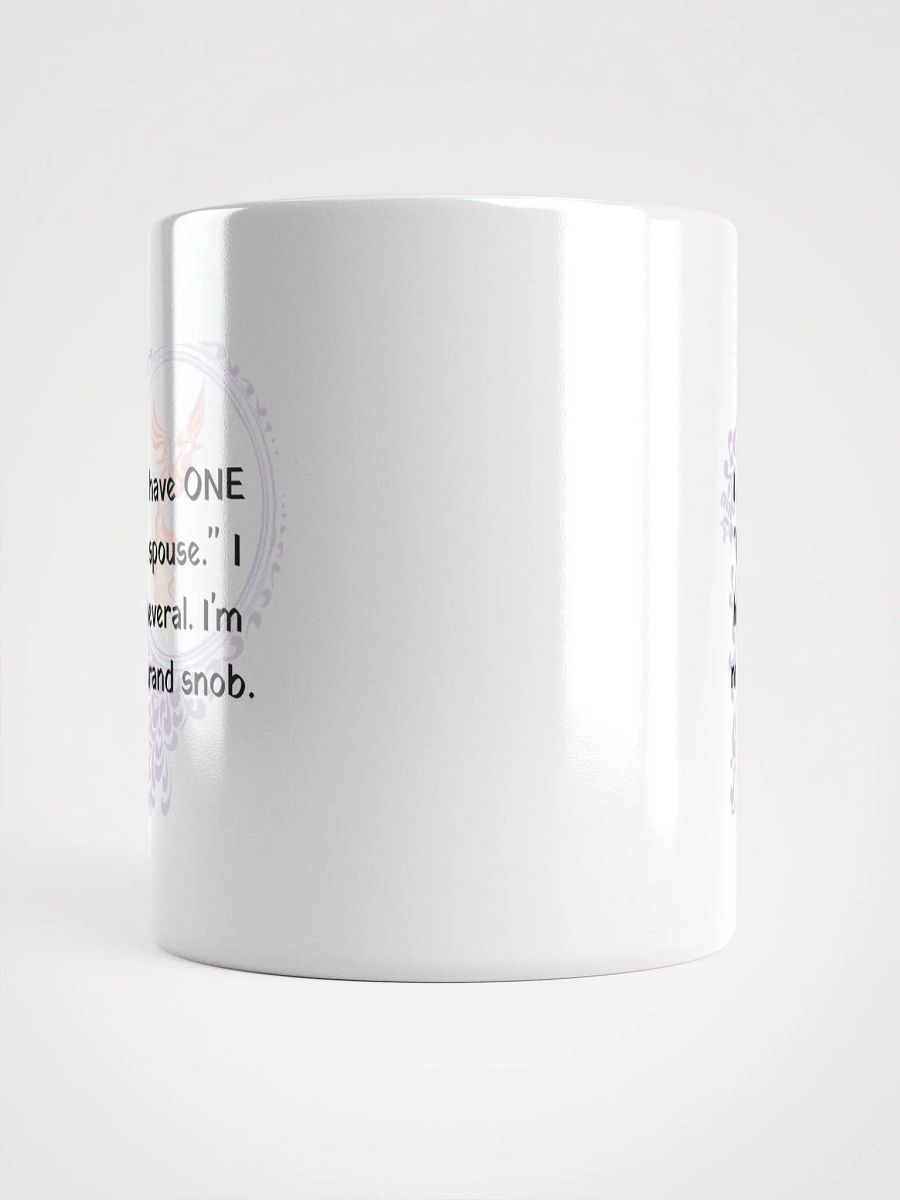 Book Spouse Snob product image (14)