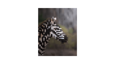ZEBRA 06 - PRO