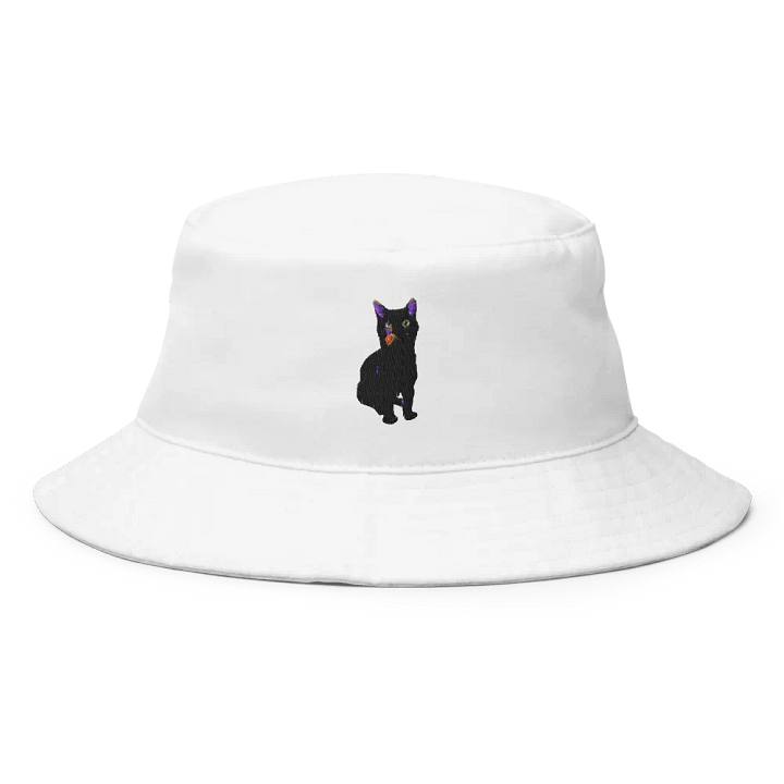 Raven flat hat product image (1)