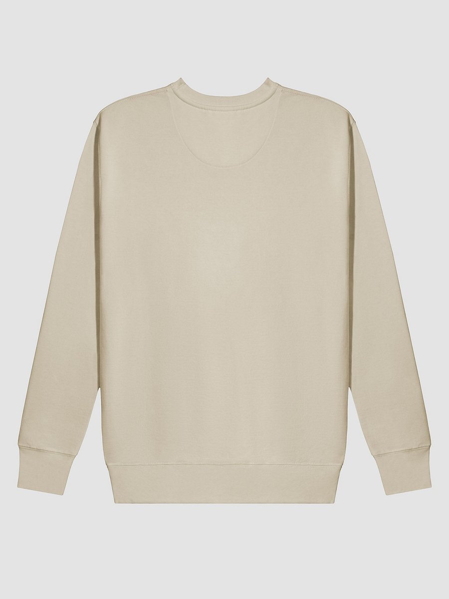 Chic Collared Visionary Sweatshirt product image (25)